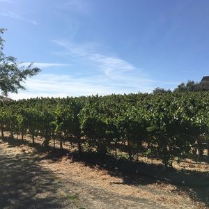 Meet your Posher, Mc